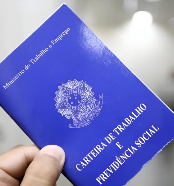 Por Que a Para ba Est Surpreendendo o Brasil com um Salto no Mercado de Trabalho Por Que a Paraíba Está Surpreendendo o Brasil com um Salto no Mercado de Trabalho?