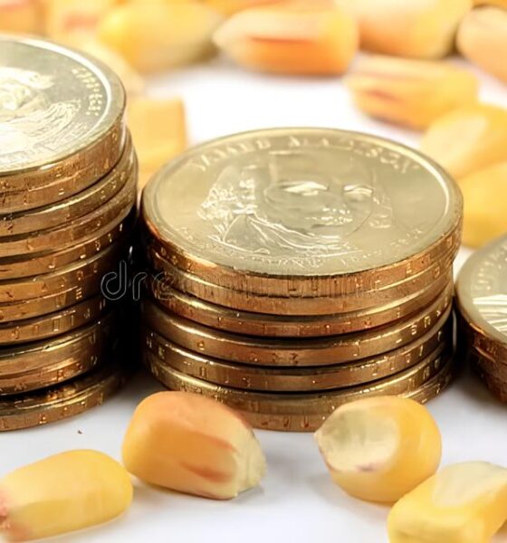 Por Que o Mercado Financeiro Está em Alerta? Descubra Como Dados Globais e Decisões Políticas Podem Impactar Seus Investimentos 2 Por Que o Mercado Financeiro Est em Alerta Descubra Como Dados Globais e Decis es Pol ticas Podem Impactar Seus Investimentos Por Que o Mercado Financeiro Está em Alerta? Descubra Como Dados Globais e Decisões Políticas Podem Impactar Seus Investimentos