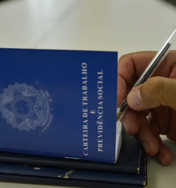 Quando os Pilares do Progresso Tremem: O Que Está Por Trás da Rara Retração no Mercado de Trabalho do Sul Catarinense? 2 Quando os Pilares do Progresso Tremem O Que Est Por Tr s da Rara Retra o no Mercado de Trabalho do Sul Catarinense Quando os Pilares do Progresso Tremem: O Que Está Por Trás da Rara Retração no Mercado de Trabalho do Sul Catarinense?