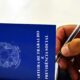 A For a da Bahia Como o Estado Est Redefinindo o Mercado de Trabalho no Brasil A Força da Bahia: Como o Estado Está Redefinindo o Mercado de Trabalho no Brasil