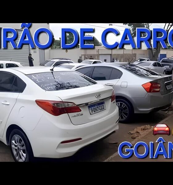 A Maior Feira de Empregos da Regi o Chega a Blumenau Oportunidades Transforma es e Futuro em Foco A Maior Feira de Empregos da Região Chega a Blumenau: Oportunidades, Transformações e Futuro em Foco