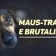 A Verdade Sombria Atr s de 11 C es em Maus Tratos Justi a e Consci ncia no Cora o do Brasil A Verdade Sombria Atrás de 11 Cães em Maus-Tratos: Justiça e Consciência no Coração do Brasil