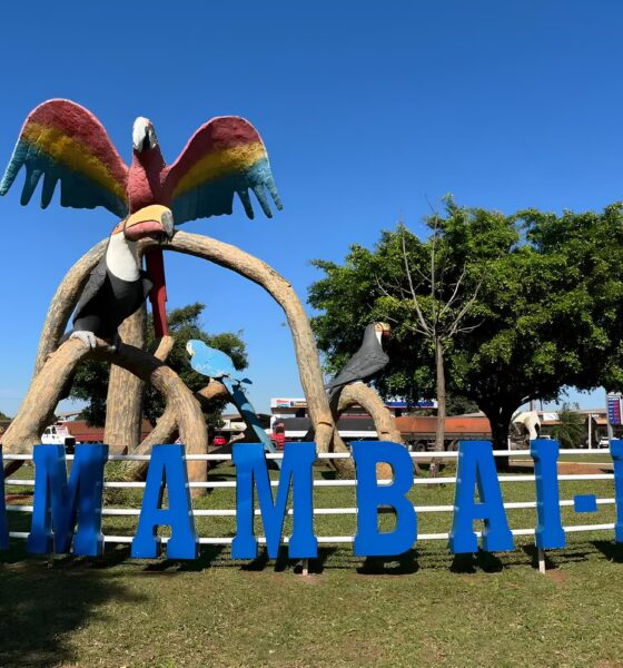 Amambai em Foco As 63 Portas Abertas Para o Futuro do Trabalho Local Amambai em Foco: As 63 Portas Abertas Para o Futuro do Trabalho Local