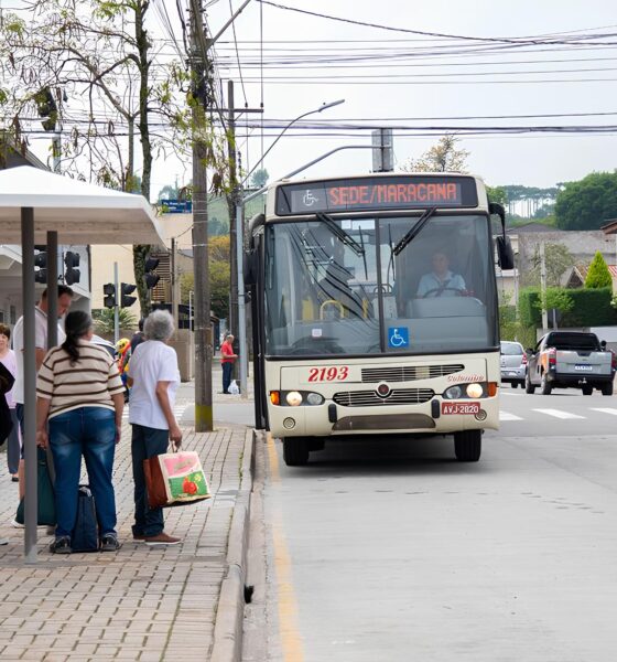 Como o Cart o Social Est Mudando Vidas e Abrindo Portas no Paran Como o Cartão Social Está Mudando Vidas e Abrindo Portas no Paraná