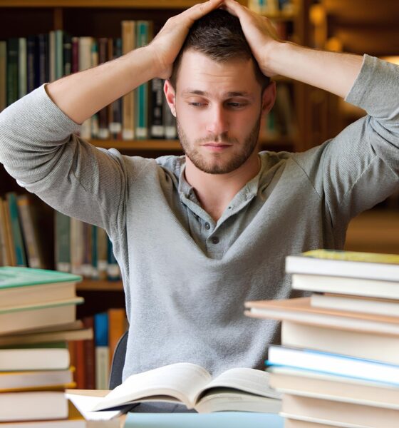 Concurso UFMG 2025 A Chave para uma Carreira de Prest gio e Estabilidade Sal rios de At R 13 288 85 Concurso UFMG 2025: A Chave para uma Carreira de Prestígio e Estabilidade – Salários de Até R$ 13.288,85!