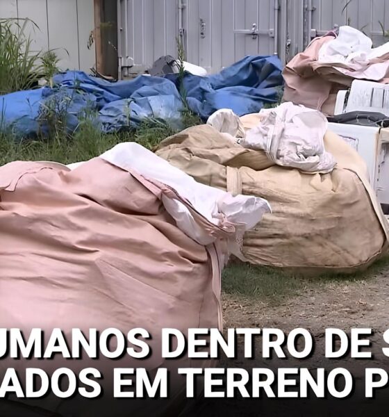 Crânios e Mistérios: O Caso dos Ossos Encontrados em Terreno Alugado por Estrangeiro no Japão 2 Cr nios e Mist rios O Caso dos Ossos Encontrados em Terreno Alugado por Estrangeiro no Jap o Crânios e Mistérios: O Caso dos Ossos Encontrados em Terreno Alugado por Estrangeiro no Japão