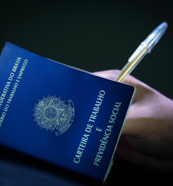Descubra Suas Possibilidades: Vagas de Emprego em Guarapuava Podem Ser o Novo Capítulo da Sua História 2 Descubra Suas Possibilidades Vagas de Emprego em Guarapuava Podem Ser o Novo Cap tulo da Sua Hist ria Descubra Suas Possibilidades: Vagas de Emprego em Guarapuava Podem Ser o Novo Capítulo da Sua História