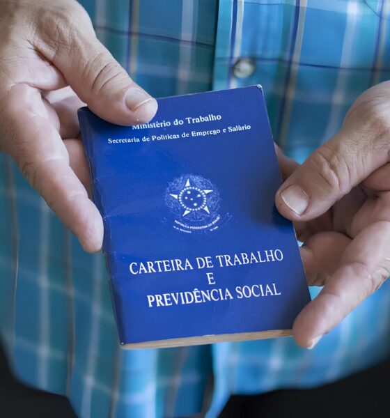 Guarujá em Foco: 255 Vagas de Emprego Abrem Portas para o Futuro na Baixada Santista 2 Guaruj em Foco 255 Vagas de Emprego Abrem Portas para o Futuro na Baixada Santista Guarujá em Foco: 255 Vagas de Emprego Abrem Portas para o Futuro na Baixada Santista