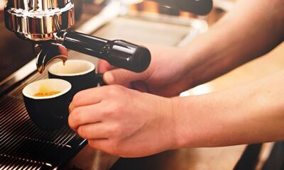 Laguna em Foco Oportunidades de Trabalho Transformam Realidades Locais no Cora o da Costa Catarinense Laguna em Foco: Oportunidades de Trabalho Transformam Realidades Locais no Coração da Costa Catarinense