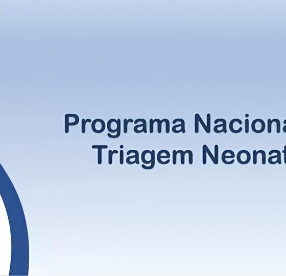 Mais de 500 Vagas de Emprego em Sergipe: Como o NAT Está Transformando Vidas e Economias Locais 2 Mais de 500 Vagas de Emprego em Sergipe Como o NAT Est Transformando Vidas e Economias Locais Mais de 500 Vagas de Emprego em Sergipe: Como o NAT Está Transformando Vidas e Economias Locais