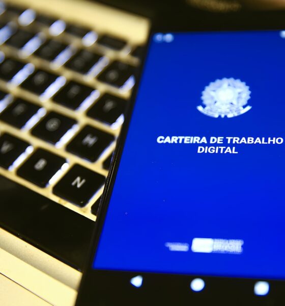 Mato Grosso A Revolu o Silenciosa dos 360 Mil Empregos e o Futuro Promissor de um Estado em Expans o Mato Grosso: A Revolução Silenciosa dos 360 Mil Empregos e o Futuro Promissor de um Estado em Expansão