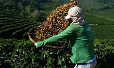 O Dia em que o Caf Virou Ouro Entenda Por Que os Pre os Dispararam e Como Isso Afeta Voc O Dia em que o Café Virou Ouro: Entenda Por Que os Preços Dispararam e Como Isso Afeta Você