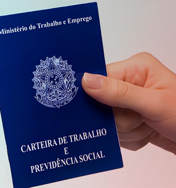 O Milagre Catarinense Como 6 5 Mil Novos Empregos em Um M s Transformam Sonhos em Realidade O Milagre Catarinense: Como 6,5 Mil Novos Empregos em Um Mês Transformam Sonhos em Realidade