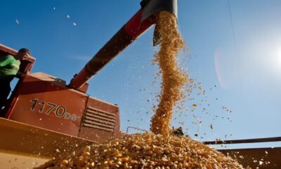 O Milagre Verde de Mato Grosso Como o Agro Transformou um Estado e Redefiniu o Futuro do Brasil O Milagre Verde de Mato Grosso: Como o Agro Transformou um Estado e Redefiniu o Futuro do Brasil