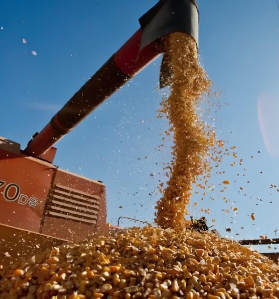 O Milagre Verde de Mato Grosso Como o Agro Transformou um Estado e Redefiniu o Futuro do Brasil O Milagre Verde de Mato Grosso: Como o Agro Transformou um Estado e Redefiniu o Futuro do Brasil