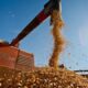 O Milagre Verde de Mato Grosso Como o Agro Transformou um Estado e Redefiniu o Futuro do Brasil O Milagre Verde de Mato Grosso: Como o Agro Transformou um Estado e Redefiniu o Futuro do Brasil