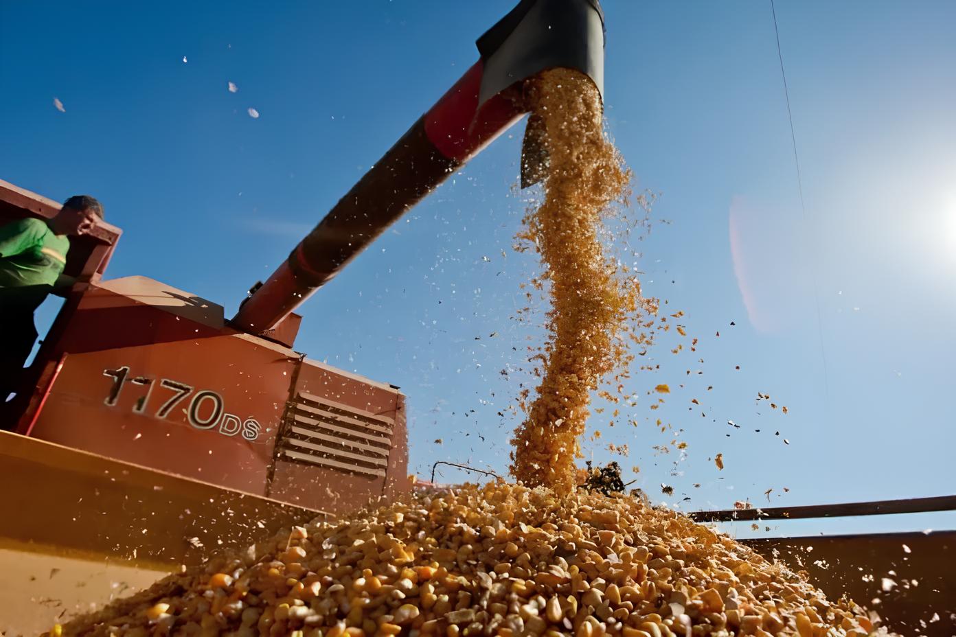 O Milagre Verde de Mato Grosso Como o Agro Transformou um Estado e Redefiniu o Futuro do Brasil O Milagre Verde de Mato Grosso: Como o Agro Transformou um Estado e Redefiniu o Futuro do Brasil