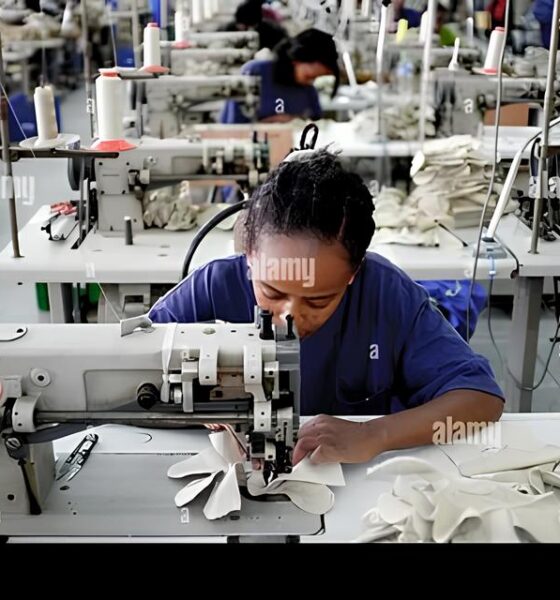 O Milagre do Emprego no Brasil Como Mulheres e Jovens Redefinem o Futuro em 2025 O Milagre do Emprego no Brasil: Como Mulheres e Jovens Redefinem o Futuro em 2025