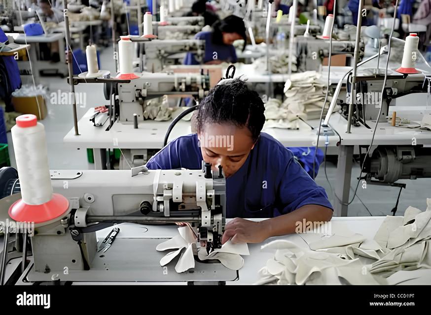 O Milagre do Emprego no Brasil Como Mulheres e Jovens Redefinem o Futuro em 2025 O Milagre do Emprego no Brasil: Como Mulheres e Jovens Redefinem o Futuro em 2025