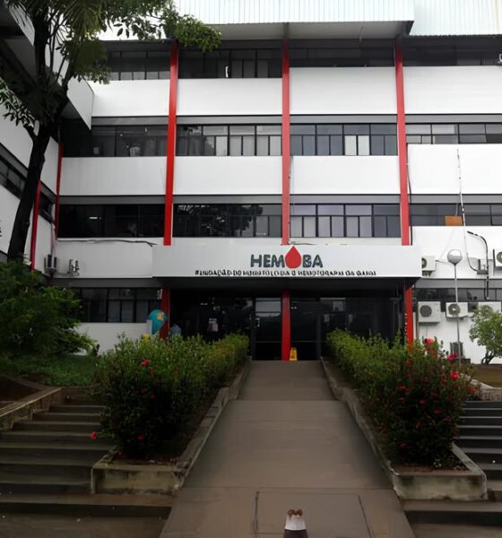 Por Que Esse Processo Seletivo da Hemoba Pode Ser a Oportunidade da Sua Vida? 2 Por Que Esse Processo Seletivo da Hemoba Pode Ser a Oportunidade da Sua Vida Por Que Esse Processo Seletivo da Hemoba Pode Ser a Oportunidade da Sua Vida?