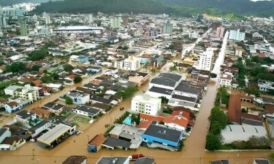 Quando o Meio Ambiente Encontra a Economia Como Santa Catarina Pode Perder 244 Mil Empregos em Nome da Sustentabilidade Quando o Meio Ambiente Encontra a Economia: Como Santa Catarina Pode Perder 244 Mil Empregos em Nome da Sustentabilidade