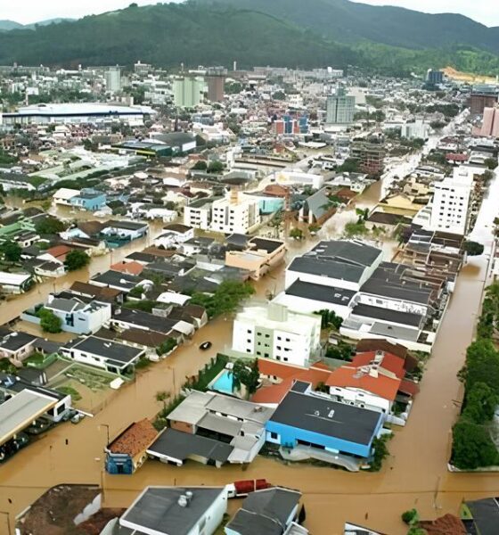 Quando o Meio Ambiente Encontra a Economia: Como Santa Catarina Pode Perder 244 Mil Empregos em Nome da Sustentabilidade 2 Quando o Meio Ambiente Encontra a Economia Como Santa Catarina Pode Perder 244 Mil Empregos em Nome da Sustentabilidade Quando o Meio Ambiente Encontra a Economia: Como Santa Catarina Pode Perder 244 Mil Empregos em Nome da Sustentabilidade