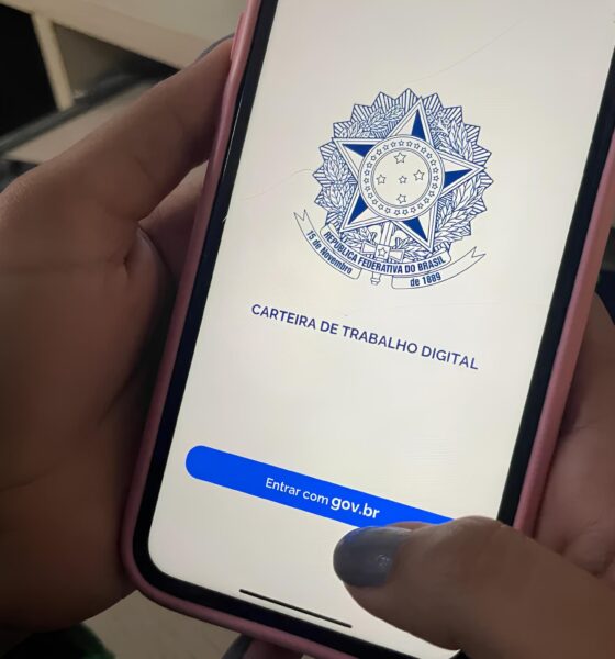 Roraima em Alta Como 2 600 Novos Empregos Formais Est o Transformando a Economia Local Roraima em Alta: Como 2.600 Novos Empregos Formais Estão Transformando a Economia Local