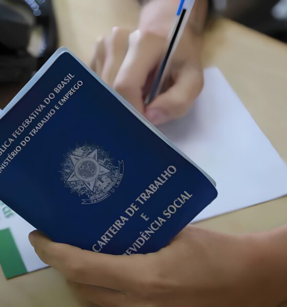 Santa Catarina em Alta: 9 Mil Vagas de Emprego Abertas – O Que Está Por Trás Desse Salto Econômico? 2 Santa Catarina em Alta 9 Mil Vagas de Emprego Abertas O Que Est Por Tr s Desse Salto Econ mico Santa Catarina em Alta: 9 Mil Vagas de Emprego Abertas – O Que Está Por Trás Desse Salto Econômico?