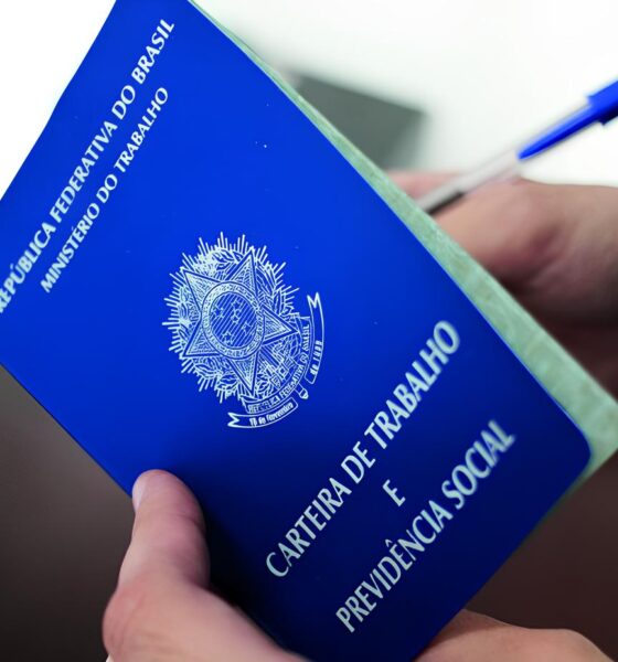 Santa Catarina na Vanguarda: Como 2.773 Novos Empregos em Um Mês Estão Transformando o Estado 2 Santa Catarina na Vanguarda Como 2 773 Novos Empregos em Um M s Est o Transformando o Estado Santa Catarina na Vanguarda: Como 2.773 Novos Empregos em Um Mês Estão Transformando o Estado