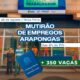 Um Dia que Pode Mudar Vidas Arapongas Oferece Mais de 350 Oportunidades de Emprego em Mutir o Especial Um Dia que Pode Mudar Vidas: Arapongas Oferece Mais de 350 Oportunidades de Emprego em Mutirão Especial