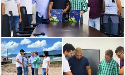 Um Raio de Esperan a no Nordeste Como Mata de S o Jo o Pode Se Tornar o Novo Polo de Desenvolvimento Regional Um Raio de Esperança no Nordeste: Como Mata de São João Pode Se Tornar o Novo Polo de Desenvolvimento Regional