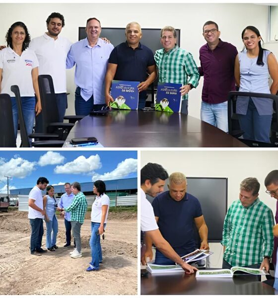 Um Raio de Esperança no Nordeste: Como Mata de São João Pode Se Tornar o Novo Polo de Desenvolvimento Regional 2 Um Raio de Esperan a no Nordeste Como Mata de S o Jo o Pode Se Tornar o Novo Polo de Desenvolvimento Regional Um Raio de Esperança no Nordeste: Como Mata de São João Pode Se Tornar o Novo Polo de Desenvolvimento Regional