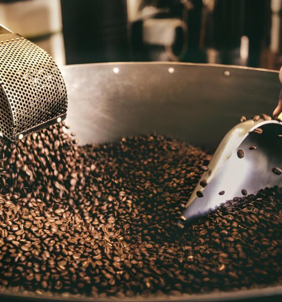 A Verdade Sobre os Gr os de Caf e Coliformes Fecais O Que Voc Precisa Saber Antes do Pr ximo Goles A Verdade Sobre os Grãos de Café e Coliformes Fecais: O Que Você Precisa Saber Antes do Próximo Goles