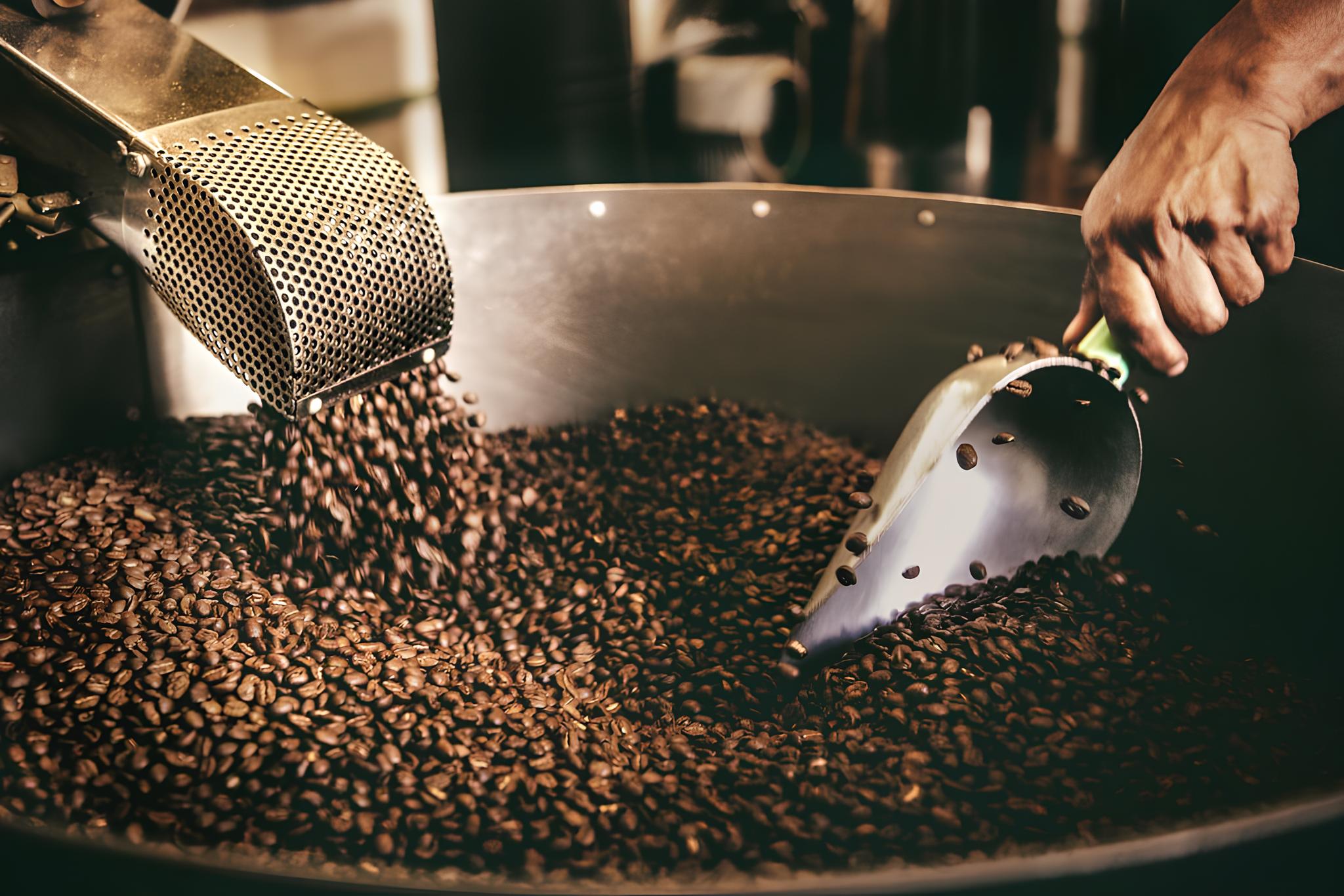 A Verdade Sobre os Grãos de Café e Coliformes Fecais: O Que Você Precisa Saber Antes do Próximo Goles