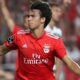 Benfica O Enigma das 18 Estrelas nas Sele es Um Legado de Gl ria ou um Fardo Invis vel Benfica: O Enigma das 18 Estrelas nas Seleções – Um Legado de Glória ou um Fardo Invisível?