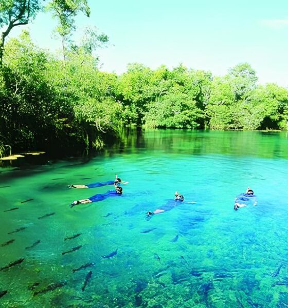Calor Extremo e Seca Castigam Mato Grosso do Sul Como o Clima Molda a Vida Economia e Sa de no Estado Calor Extremo e Seca Castigam Mato Grosso do Sul: Como o Clima Molda a Vida, Economia e Saúde no Estado