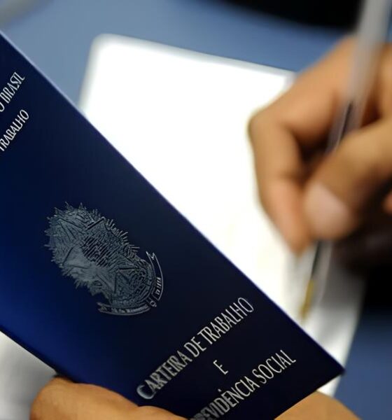 Como a Fundat Está Transformando Vidas em Sergipe: Um Raio-X das Novas Oportunidades de Emprego 2 Como a Fundat Est Transformando Vidas em Sergipe Um Raio X das Novas Oportunidades de Emprego Como a Fundat Está Transformando Vidas em Sergipe: Um Raio-X das Novas Oportunidades de Emprego