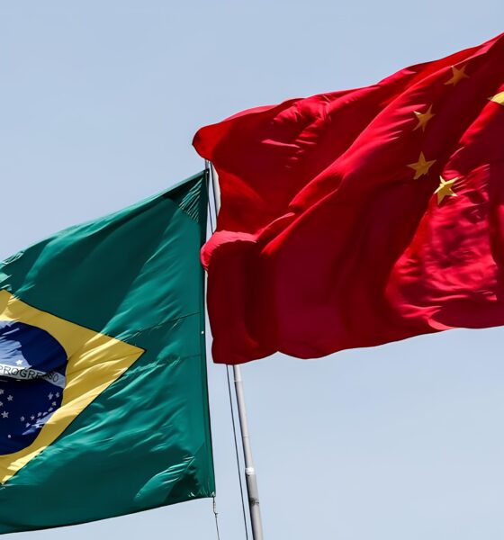 Como a Parceria Brasil-China Está Redefinindo o Futuro do Emprego no Comércio Global 2 Como a Parceria Brasil China Est Redefinindo o Futuro do Emprego no Com rcio Global Como a Parceria Brasil-China Está Redefinindo o Futuro do Emprego no Comércio Global