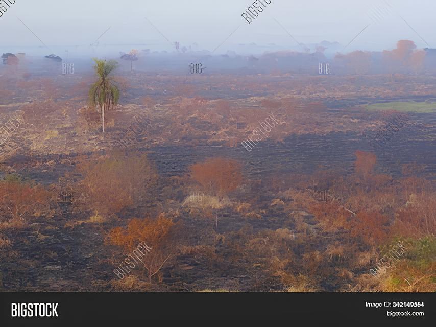 Domingo de Calor Extremo em Mato Grosso do Sul: Como o Clima Molda Política, Economia e Vida Cotidiana 1 Domingo de Calor Extremo em Mato Grosso do Sul: Como o Clima Molda Política, Economia e Vida Cotidiana