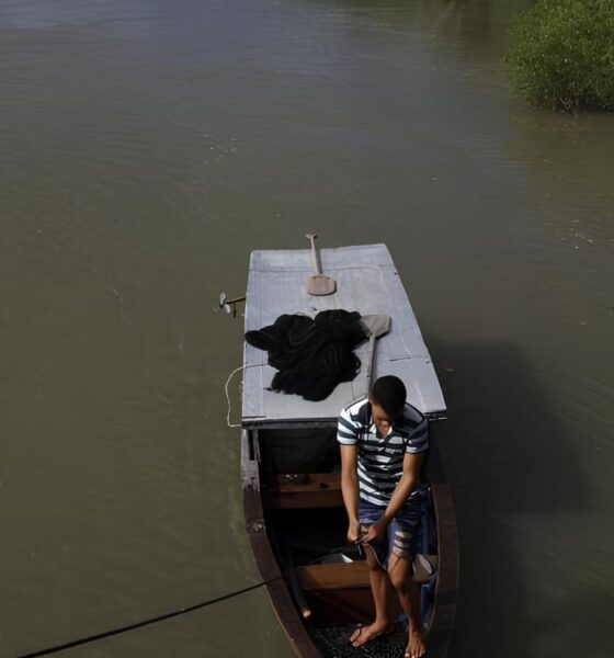 O Futuro do Seguro-Defeso: Como Novas Regras Podem Mudar a Vida dos Pescadores Artesanais em 2025 2 O Futuro do Seguro Defeso Como Novas Regras Podem Mudar a Vida dos Pescadores Artesanais em 2025 O Futuro do Seguro-Defeso: Como Novas Regras Podem Mudar a Vida dos Pescadores Artesanais em 2025