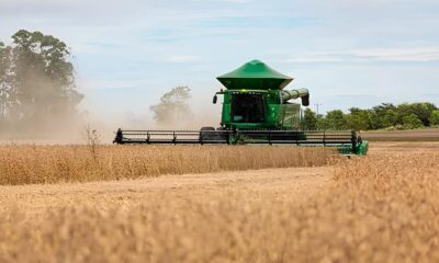 Sorriso MT A Capital do Agro que Est Redefinindo o Futuro do Brasil Sorriso/MT: A Capital do Agro que Está Redefinindo o Futuro do Brasil