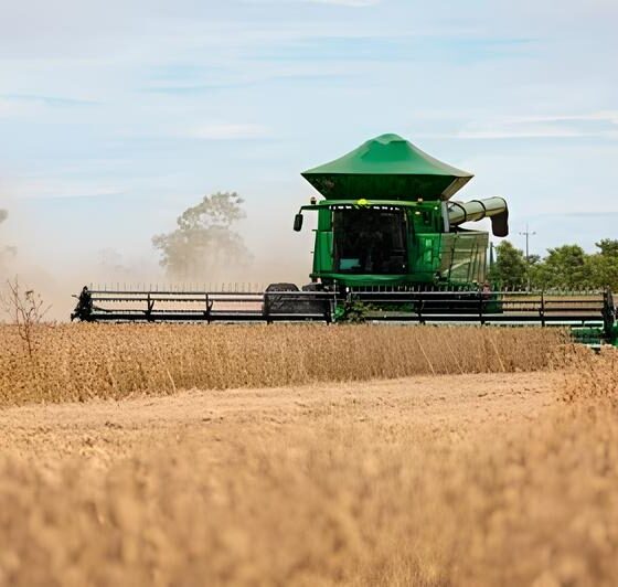 Sorriso MT A Capital do Agro que Est Redefinindo o Futuro do Brasil Sorriso/MT: A Capital do Agro que Está Redefinindo o Futuro do Brasil
